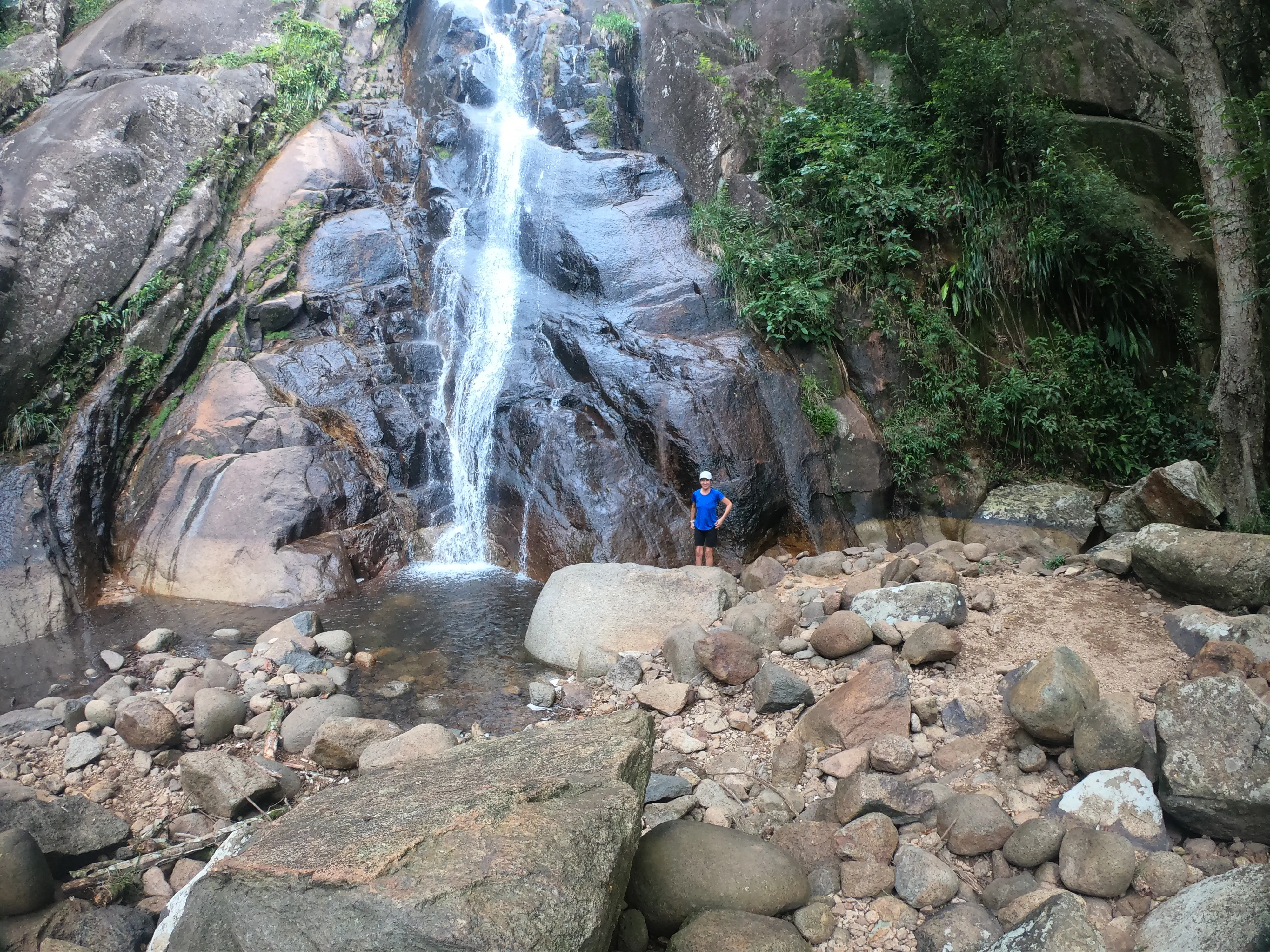 A view from the trail.